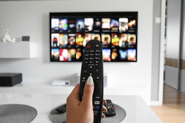 Ott-domain,Ott-domains,Ott,.Ott
