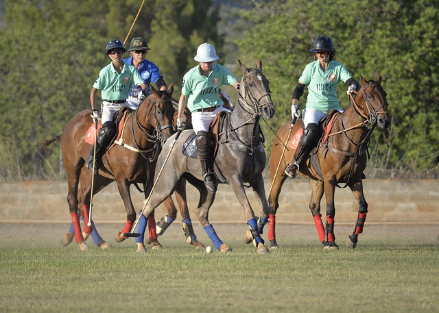 Polo-domain,Polo-domains,Polo,.Polo