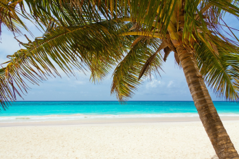 Travel-Domain,Travel-Domains,Traveldomain,Traveldomains