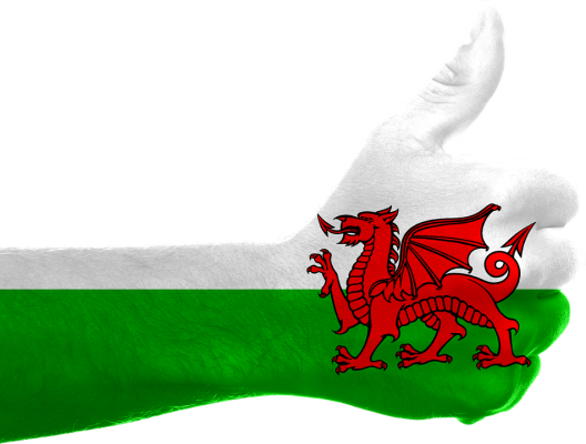 wales-domain,wales-domains,wales,.wales