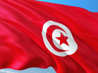 .tn,tn-domain,tn-domains,Tunesien,Tunesier
